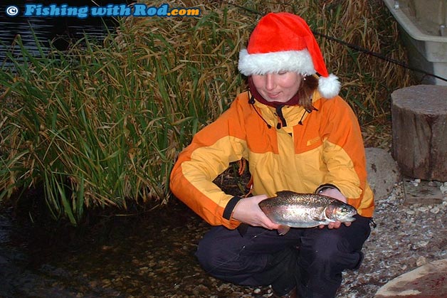 Rainbow trout in Danish put and take lake Rainbow trout in Danish put and take lake